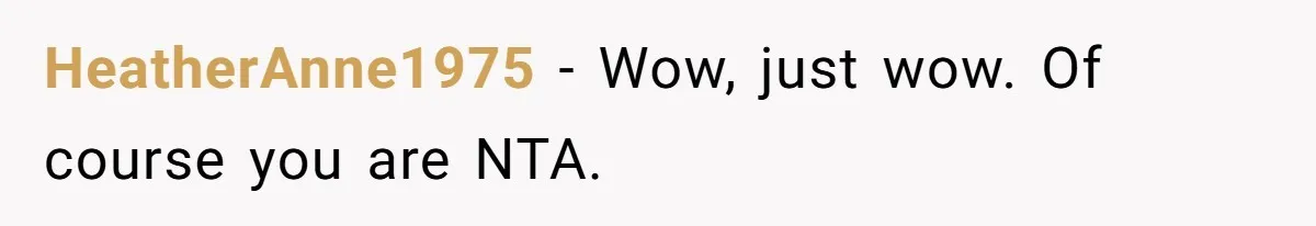 Mother-In-Law Blames Grieving Mom For Baby’s Death At Funeral, Then Invites Her To “Apology Dinner” When She Gets Pregnant Again HeatherAnne1975 − Wow, just wow. Of course you are NTA.