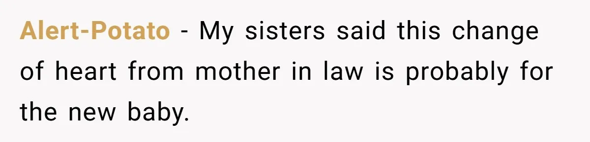 Mother-In-Law Blames Grieving Mom For Baby’s Death At Funeral, Then Invites Her To “Apology Dinner” When She Gets Pregnant Again Alert-Potato − My sisters said this change of heart from mother in law is probably for the new baby.