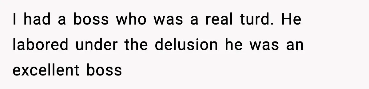 I had a boss who was a real turd. He labored under the delusion he was an excellent boss