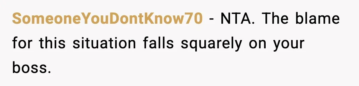 SomeoneYouDontKnow70 − NTA. The blame for this situation falls squarely on your boss.