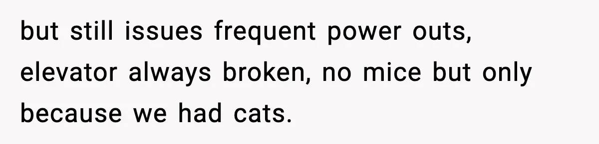 but still issues frequent power outs, elevator always broken, no mice but only because we had cats.