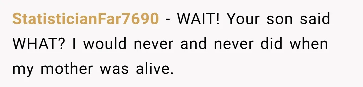 StatisticianFar7690 − WAIT! Your son said WHAT? I would never and never did when my mother was alive.