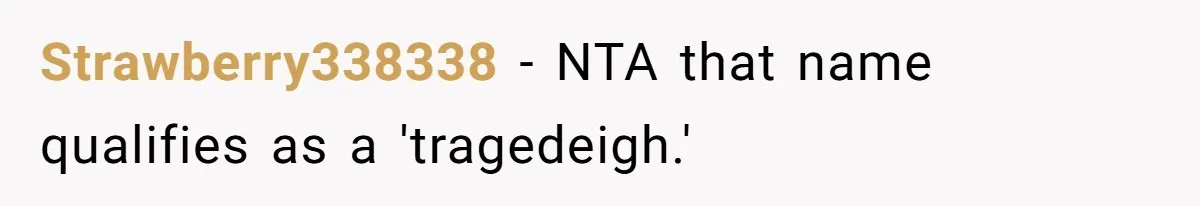 Strawberry338338 − NTA that name qualifies as a 'tragedeigh.'