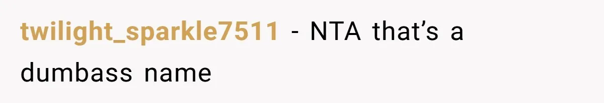 twilight_sparkle7511 − NTA that’s a dumbass name