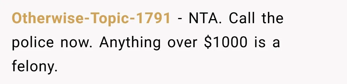 Otherwise-Topic-1791 − NTA. Call the police now. Anything over $1000 is a felony.