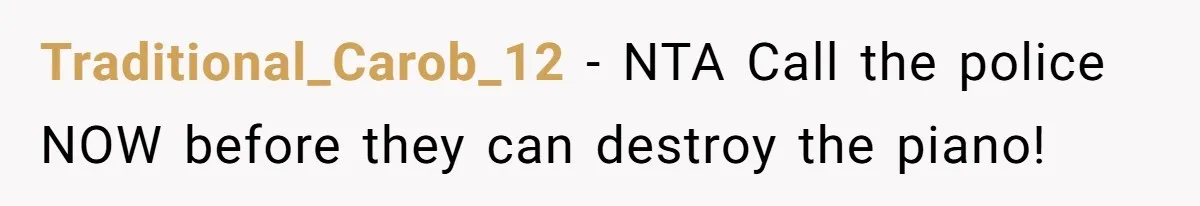 Traditional_Carob_12 − NTA Call the police NOW before they can destroy the piano!