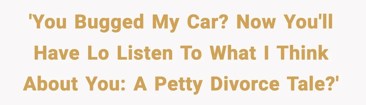 'You bugged my car? Now you'll have lo listen to what I think about you: A Petty Divorce Tale?'