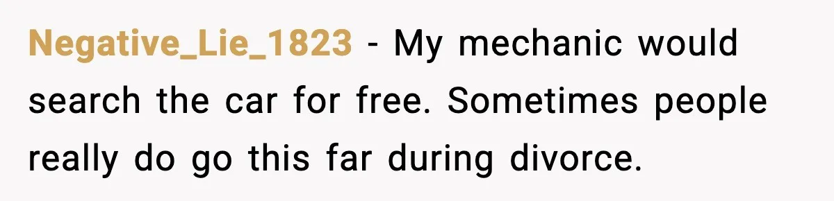 Negative_Lie_1823 - My mechanic would search the car for free. Sometimes people really do go this far during divorce.