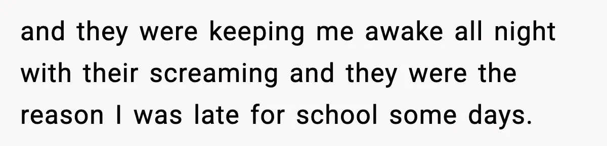 and they were keeping me awake all night with their screaming and they were the reason I was late for school some days.