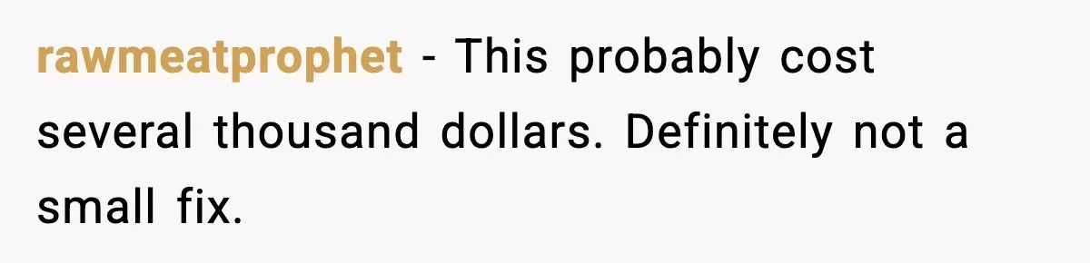 rawmeatprophet - This probably cost several thousand dollars. Definitely not a small fix.