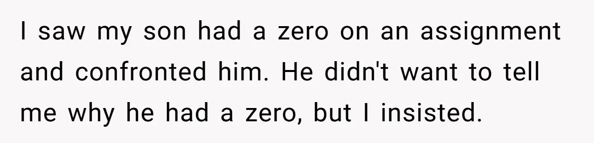 I saw my son had a zero on an assignment and confronted him. He didn't want to tell me why he had a zero, but I insisted.