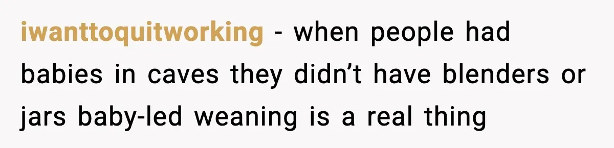 iwanttoquitworking - when people had babies in caves they didn’t have blenders or jars baby-led weaning is a real thing
