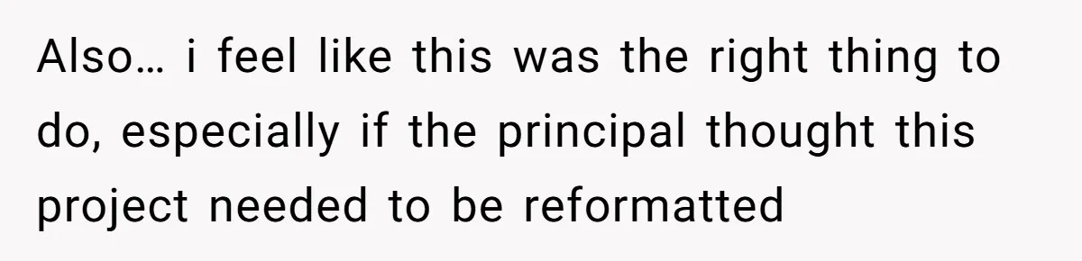 Also… i feel like this was the right thing to do, especially if the principal thought this project needed to be reformatted