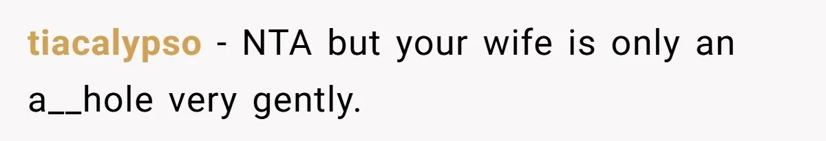 tiacalypso − NTA but your wife is only an a__hole very gently.