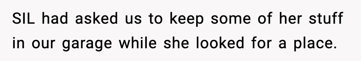 SIL had asked us to keep some of her stuff in our garage while she looked for a place.