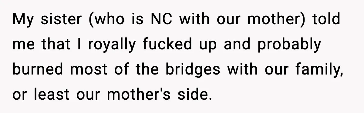 My sister (who is NC with our mother) told me that I royally fucked up and probably burned most of the bridges with our family, or least our mother's side.