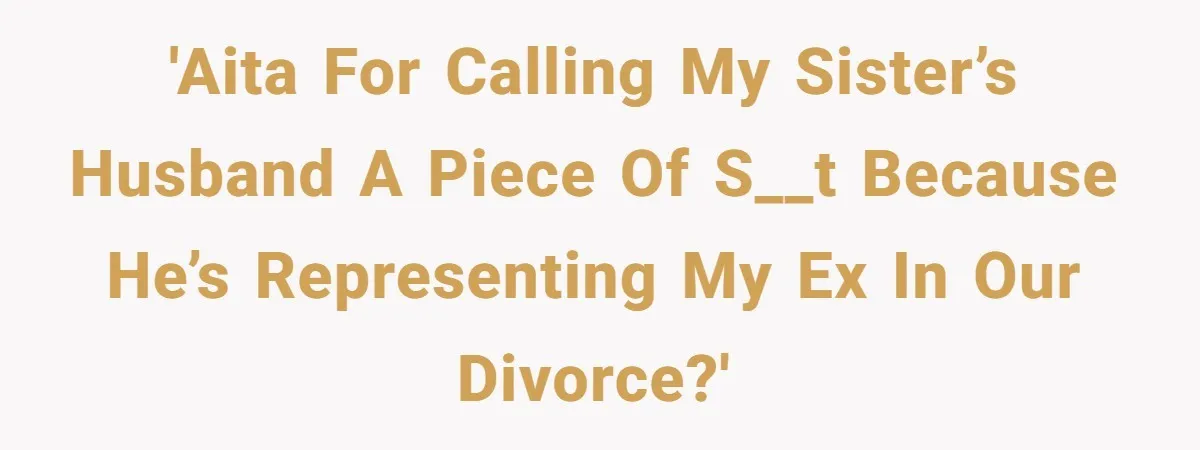 'AITA for calling my sister’s husband a piece of s__t because he’s representing my ex in our divorce?'
