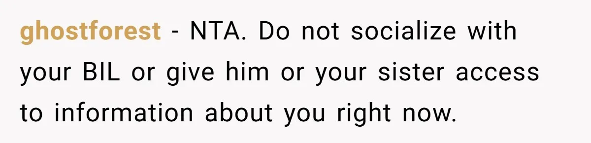 ghostforest − NTA. Do not socialize with your BIL or give him or your sister access to information about you right now.