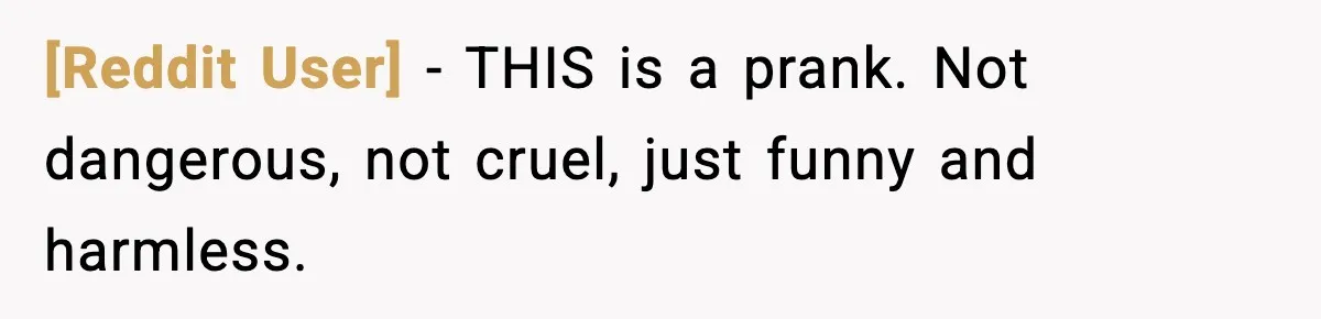 [Reddit User] - THIS is a prank. Not dangerous, not cruel, just funny and harmless.