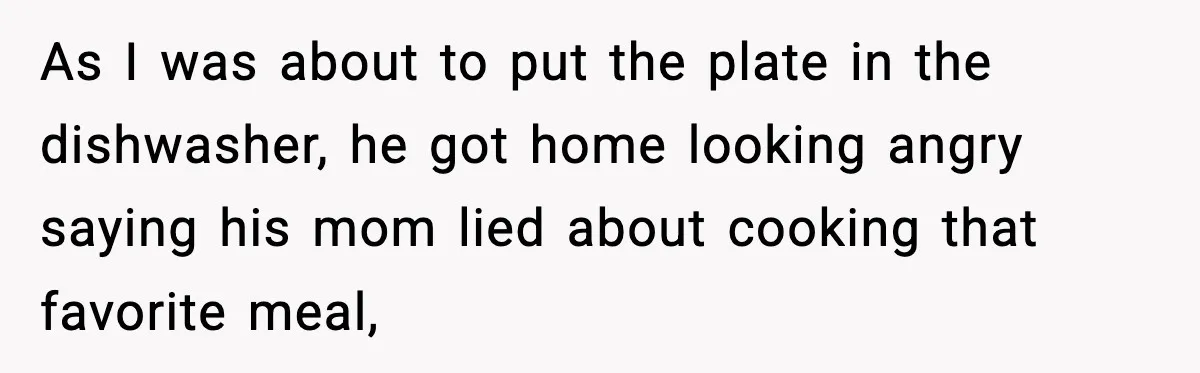 As I was about to put the plate in the dishwasher, he got home looking angry saying his mom lied about cooking that favorite meal,