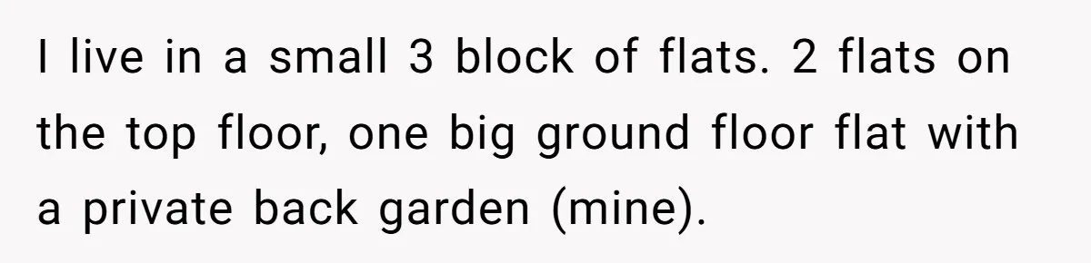 I live in a small 3 block of flats. 2 flats on the top floor, one big ground floor flat with a private back garden (mine).