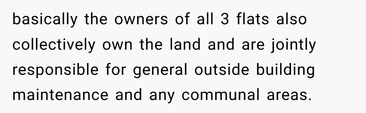 basically the owners of all 3 flats also collectively own the land and are jointly responsible for general outside building maintenance and any communal areas.