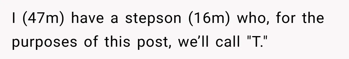 I (47m) have a stepson (16m) who, for the purposes of this post, we’ll call "T."