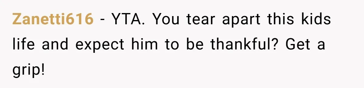 Zanetti616 − YTA. You tear apart this kids life and expect him to be thankful? Get a grip!