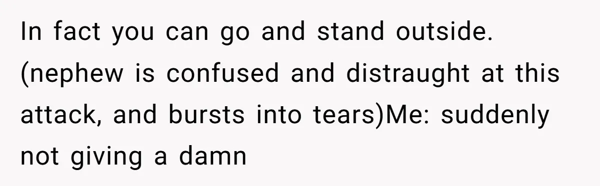 In fact you can go and stand outside. (nephew is confused and distraught at this attack, and bursts into tears)Me: suddenly not giving a damn