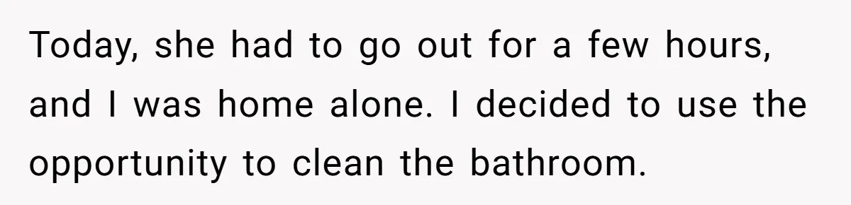 Why Mocking a Black Woman’s Wig Can Cut Much Deeper Than You Realize Today, she had to go out for a few hours, and I was home alone. I decided to use the opportunity to clean the bathroom.