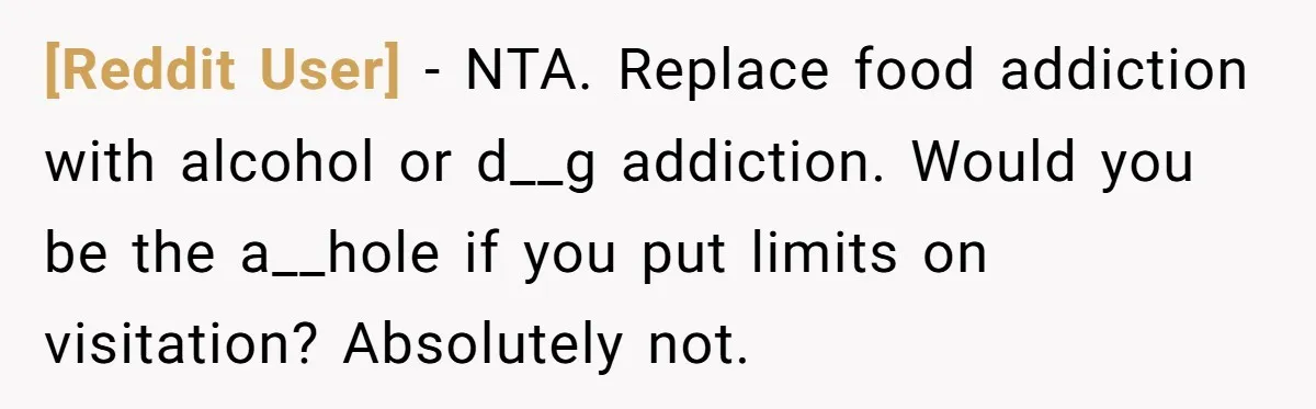 [Reddit User] − NTA. Replace food addiction with alcohol or d__g addiction. Would you be the a__hole if you put limits on visitation? Absolutely not.