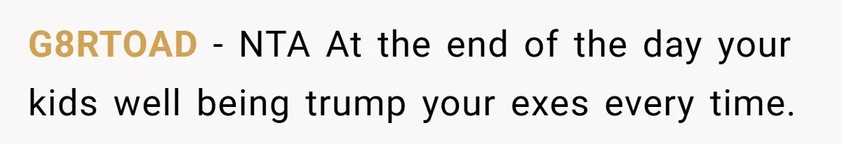 G8RTOAD − NTA At the end of the day your kids well being trump your exes every time.