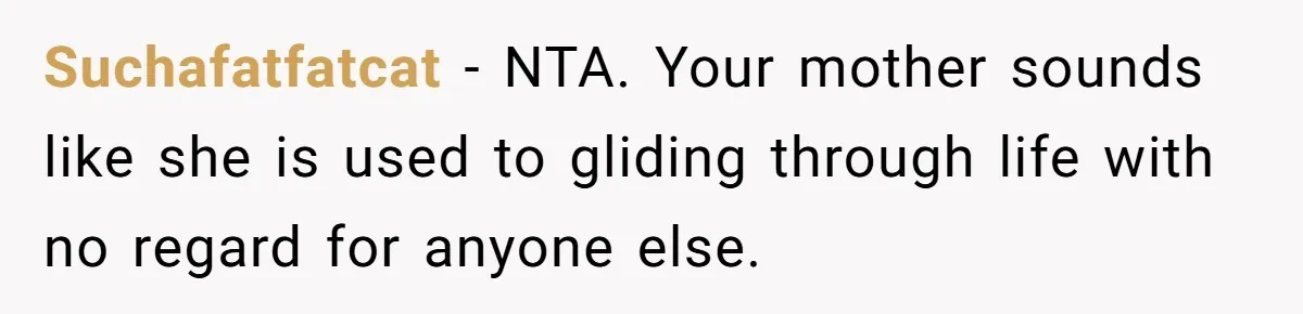 Suchafatfatcat − NTA. Your mother sounds like she is used to gliding through life with no regard for anyone else.