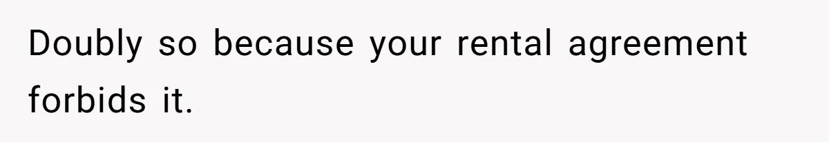 Doubly so because your rental agreement forbids it.