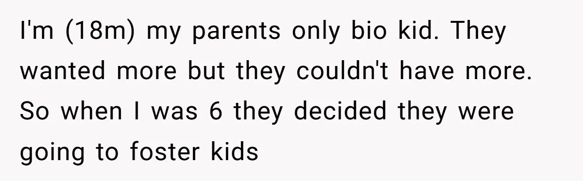 I'm (18m) my parents only bio kid. They wanted more but they couldn't have more. So when I was 6 they decided they were going to foster kids