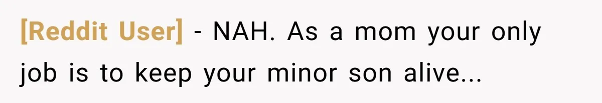 [Reddit User] − NAH. As a mom your only job is to keep your minor son alive...