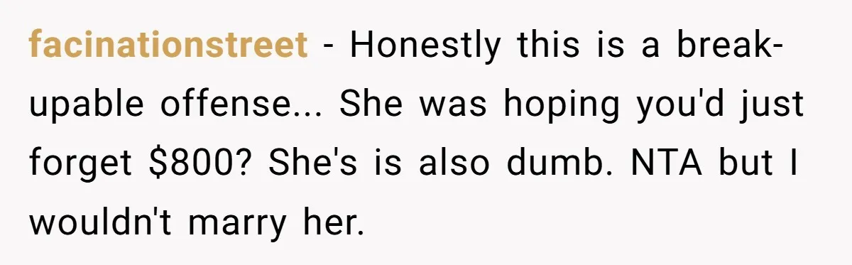 facinationstreet − Honestly this is a break-upable offense... She was hoping you'd just forget $800? She's is also dumb. NTA but I wouldn't marry her.