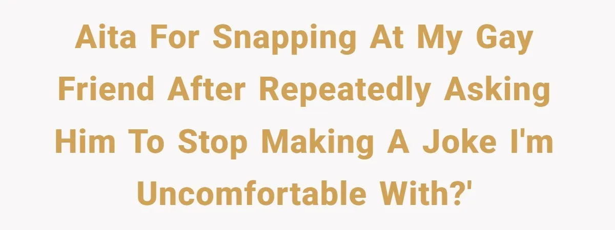 After Repeatedly Crossing Boundaries, This Woman Finally Snapped at Her Hypocritical Friend AITA for snapping at my gay friend after repeatedly asking him to stop making a joke I'm uncomfortable with?'