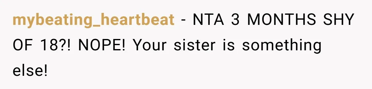 Teen Girl Cuts Off Sister After Being “Barely Not Invited” To Her Own Wedding mybeating_heartbeat − NTA 3 MONTHS SHY OF 18?! NOPE! Your sister is something else!