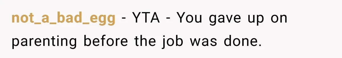 not_a_bad_egg − YTA - You gave up on parenting before the job was done.