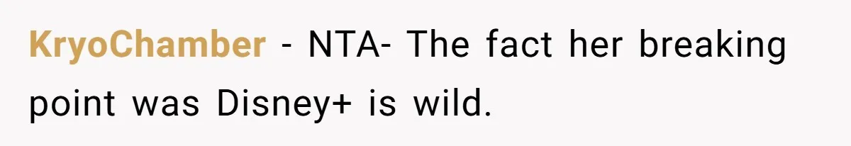She Exposed The Girlfriend’s Text Meltdown, Now Friends Say She Should’ve Stayed Quiet KryoChamber − NTA- The fact her breaking point was Disney+ is wild.
