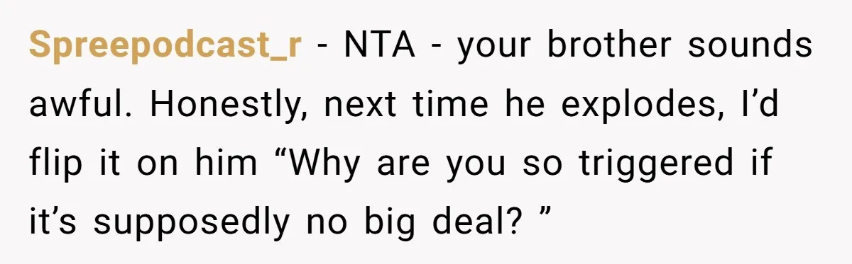 Spreepodcast_r − NTA - your brother sounds awful. Honestly, next time he explodes, I’d flip it on him “Why are you so triggered if it’s supposedly no big deal? ”