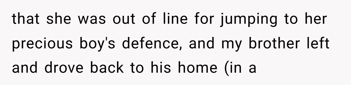 that she was out of line for jumping to her precious boy's defence, and my brother left and drove back to his home (in a