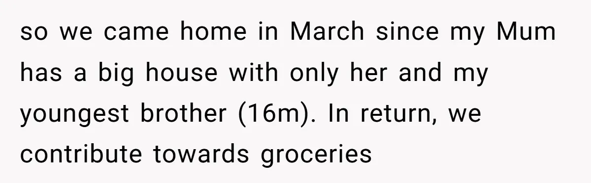 so we came home in March since my Mum has a big house with only her and my youngest brother (16m). In return, we contribute towards groceries