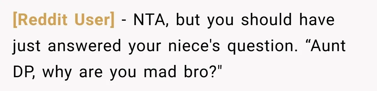 [Reddit User] − NTA, but you should have just answered your niece's question. “Aunt DP, why are you mad bro?"