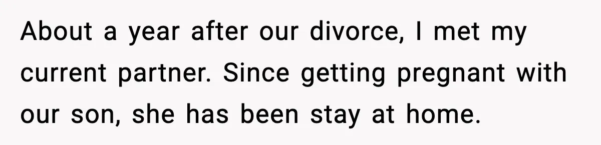 About a year after our divorce, I met my current partner. Since getting pregnant with our son, she has been stay at home.