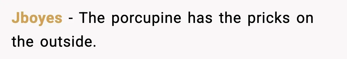 Jboyes - The porcupine has the pricks on the outside.