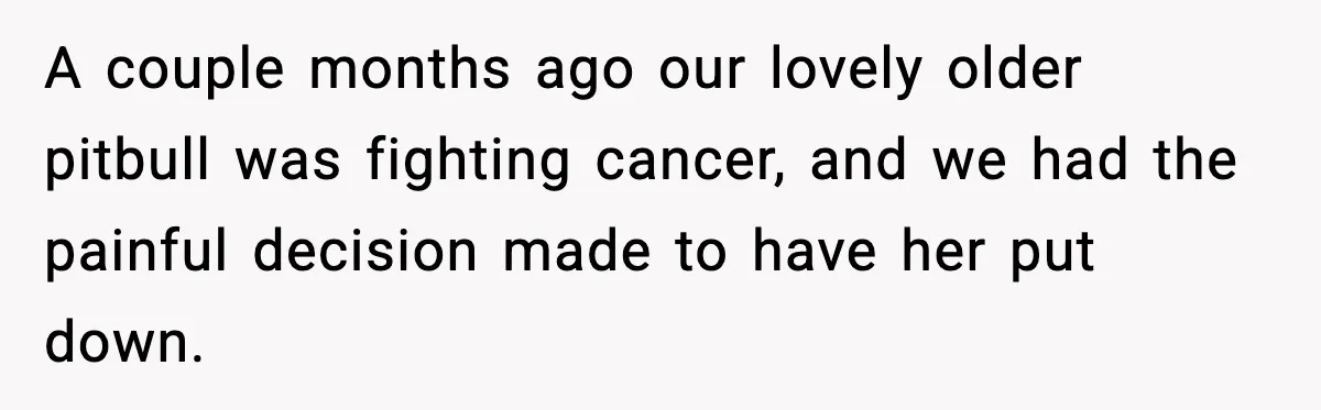 A couple months ago our lovely older pitbull was fighting cancer, and we had the painful decision made to have her put down.