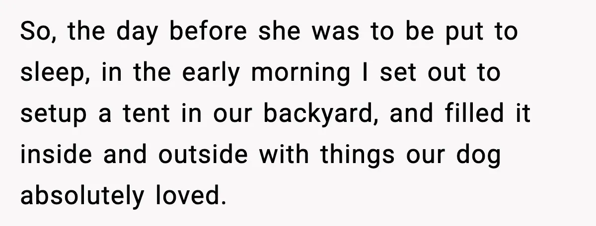 So, the day before she was to be put to sleep, in the early morning I set out to setup a tent in our backyard, and filled it inside and...