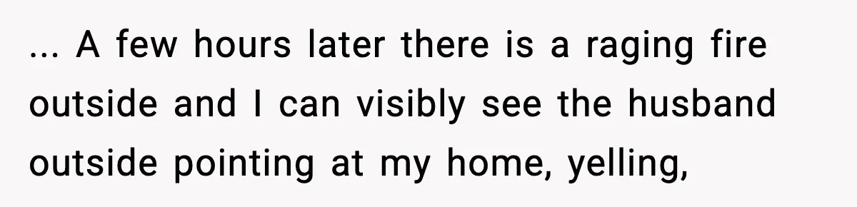 ... A few hours later there is a raging fire outside and I can visibly see the husband outside pointing at my home, yelling,
